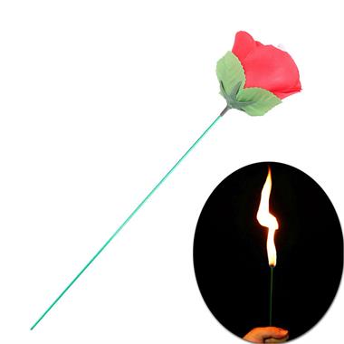 Appearing Fire To Rose Flower